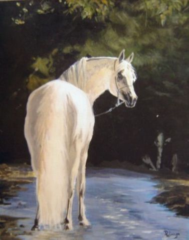 le cheval blanc